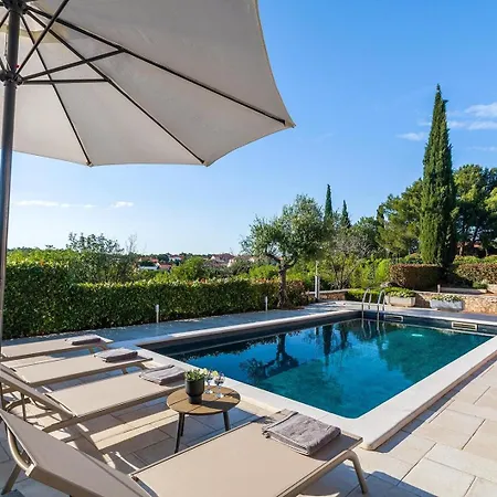 Rosy * 로비니스코 셀로